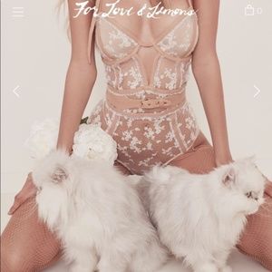 For Love And Lemons Rosebud EMBROIDERY  Bodysuit